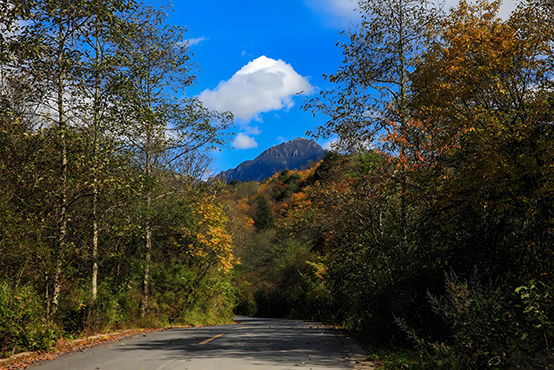 生态长歌栗子坪