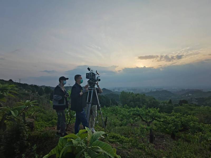 关于宣传片拍摄的实质内容