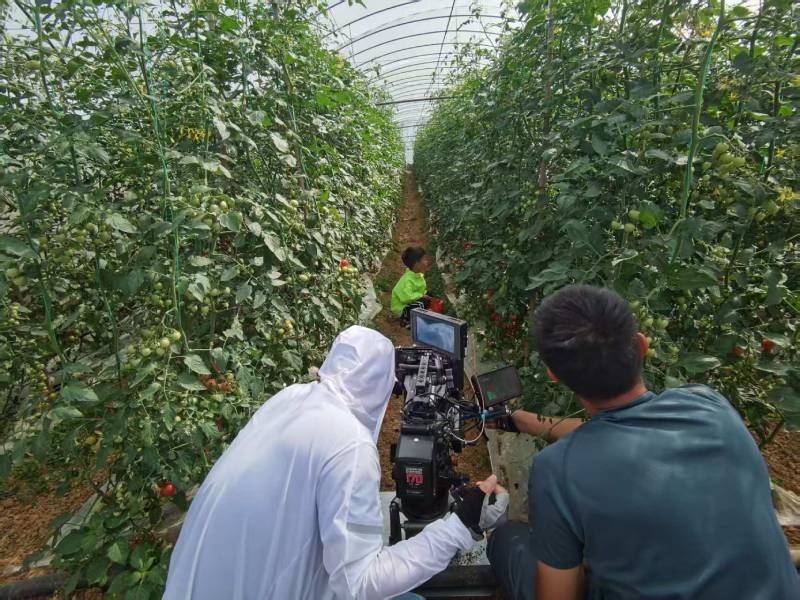 外宣传片拍摄公司对于行业发展有极大促进